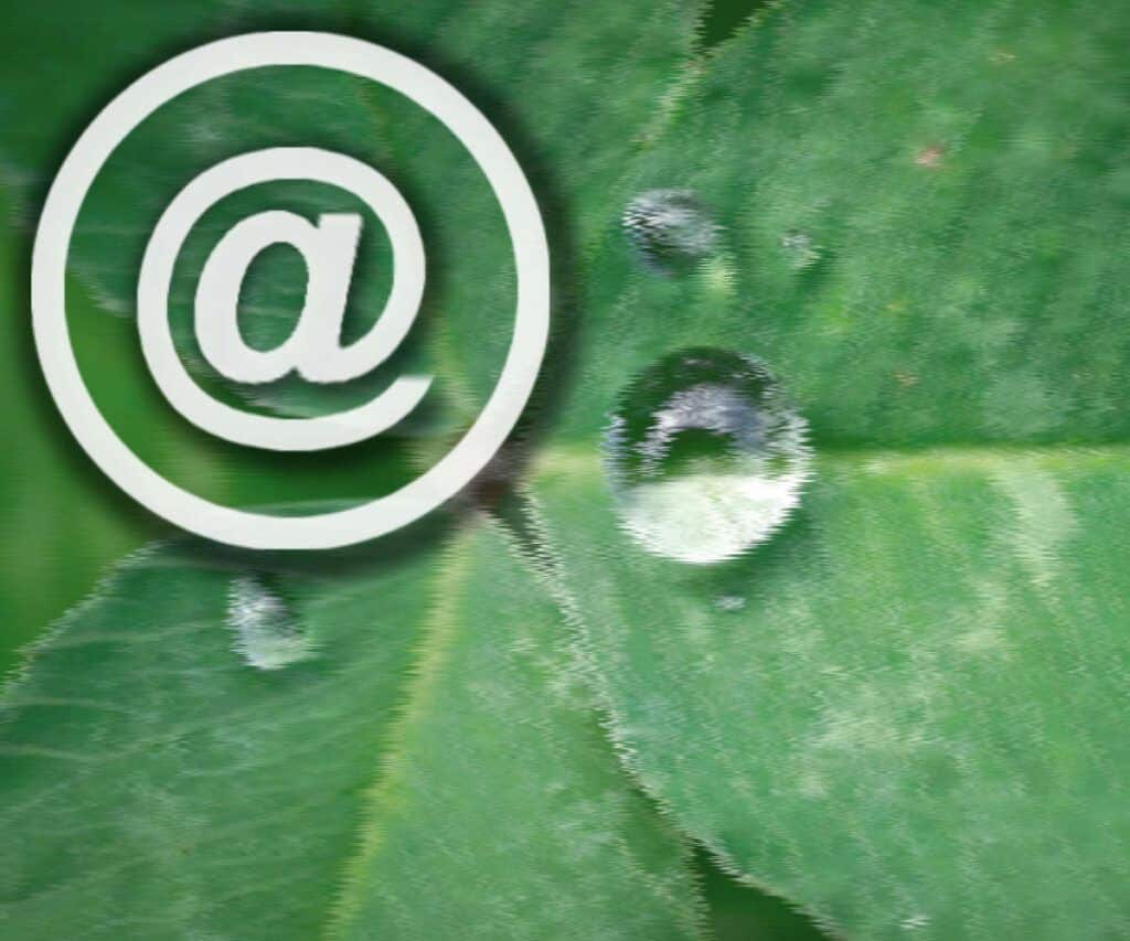 Buzón electrónico facilita tu email