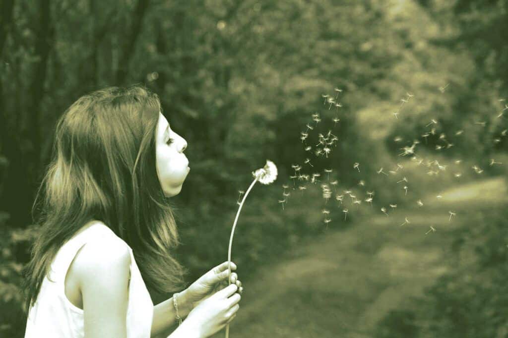 Si vas a solicitar devolución del IVA prepárate antes