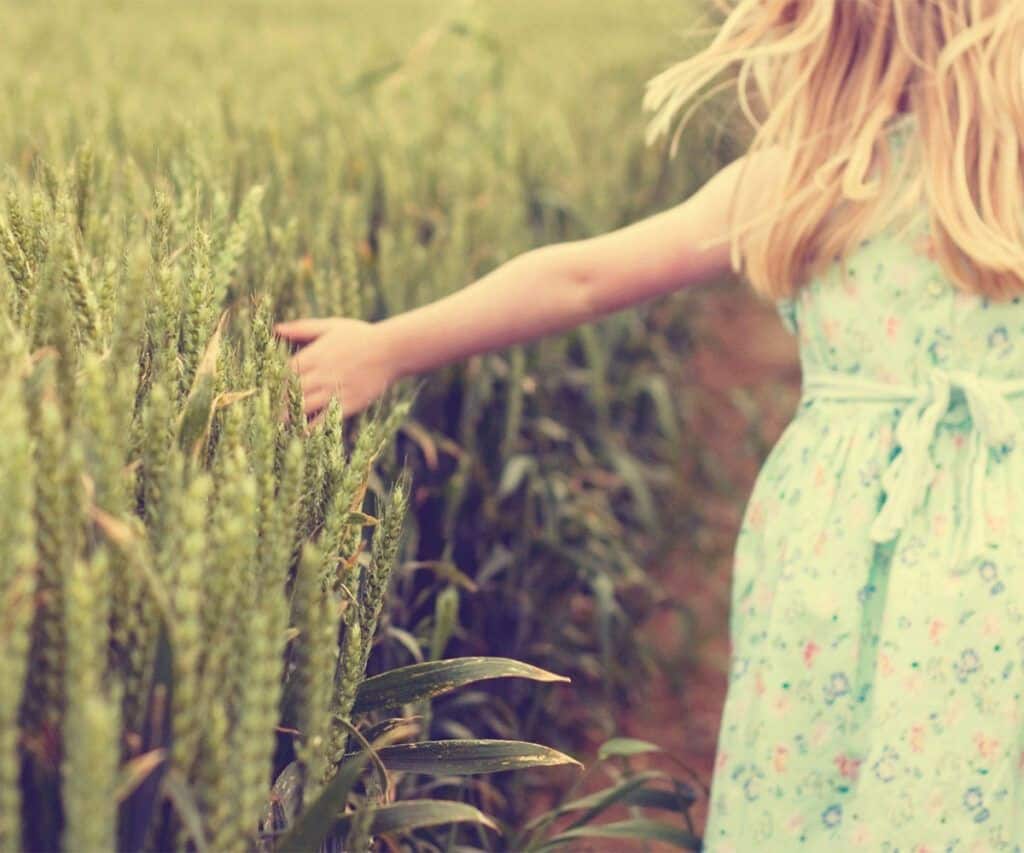 puedo incluir a mi hijo en la Renta