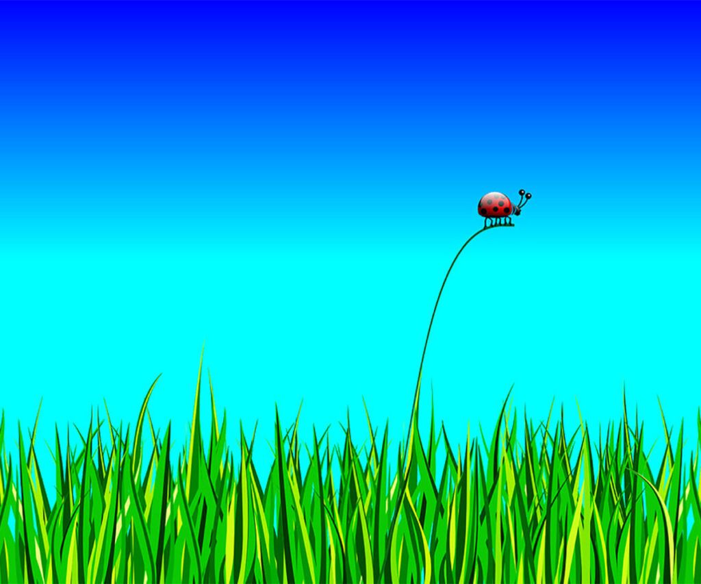 los datos del modelo 130 no coinciden con la Renta