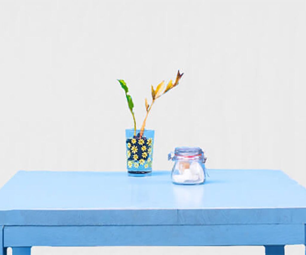 que utilizar el modelo 036 o el 037