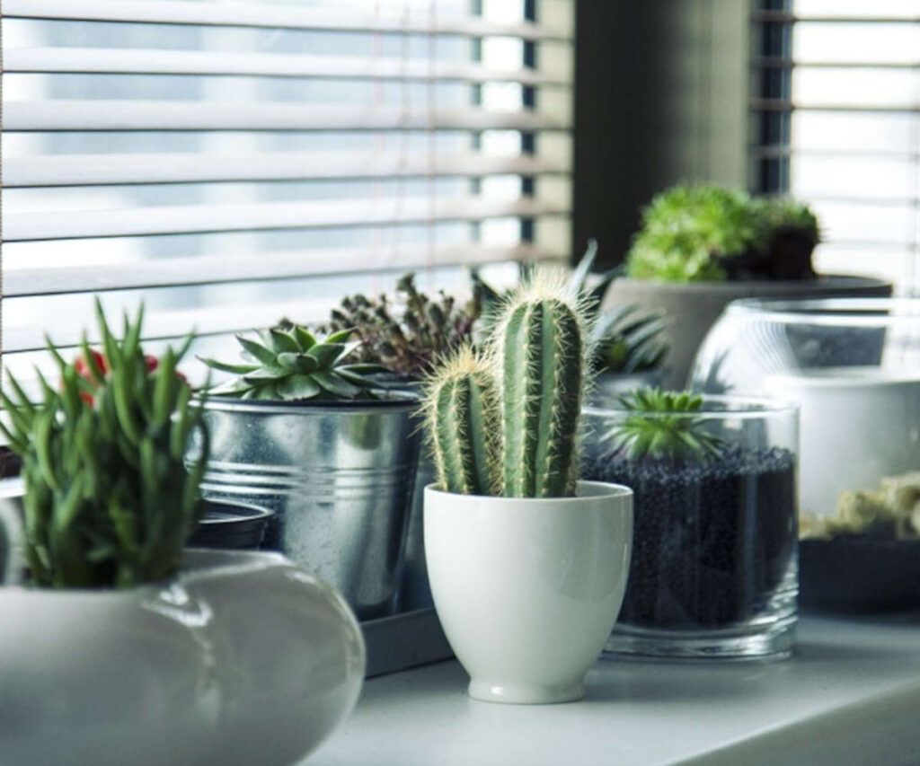 Cómo rellenar modelo 390 paso a paso fácil y sencillo