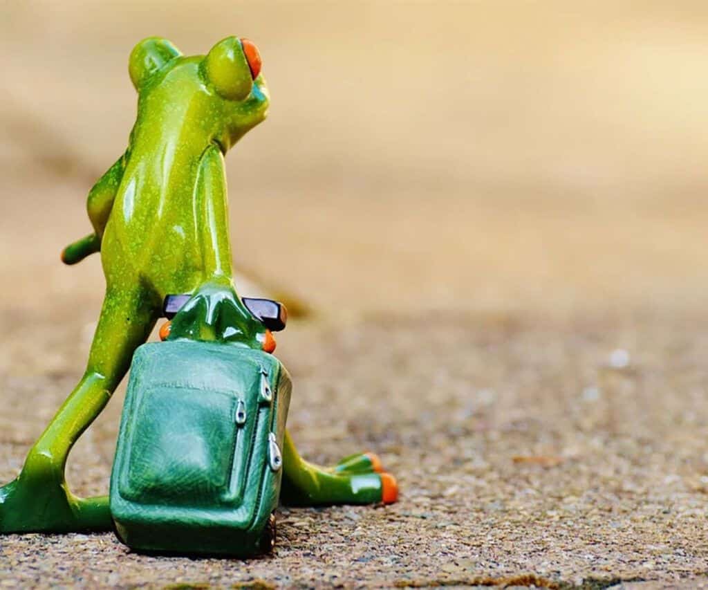 Inspección de Hacienda