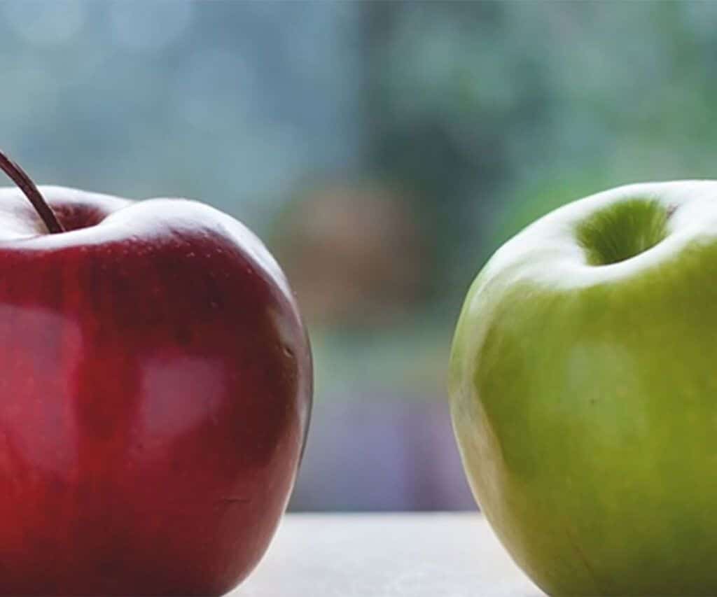 deudas de cuotas de autónomos