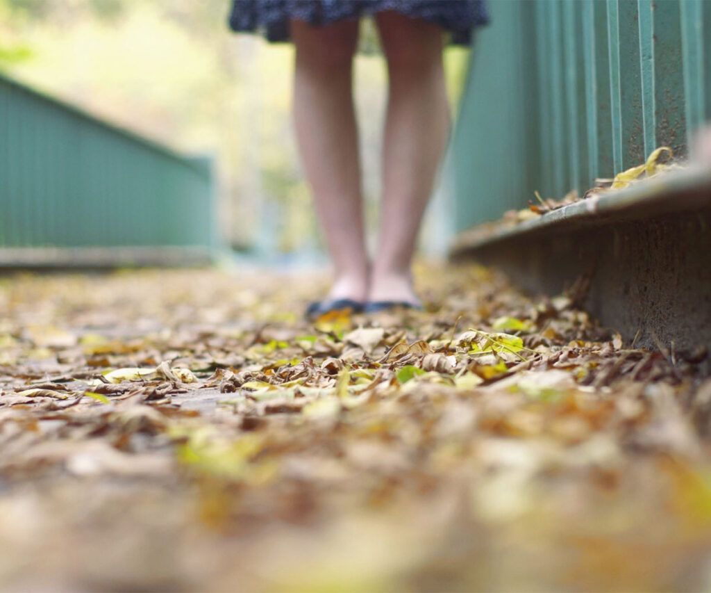 Solicitar devolución de IVA después de la baja la actividad