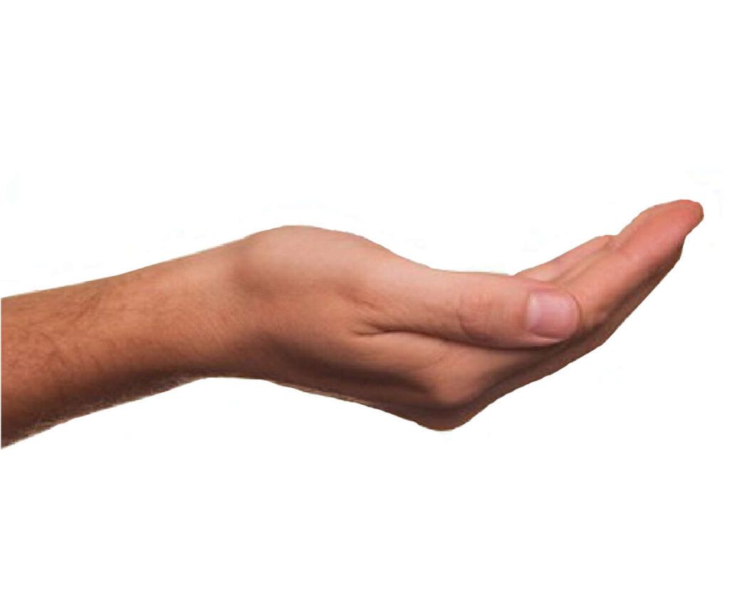 Cuándo puedo solicitar la devolución del iva