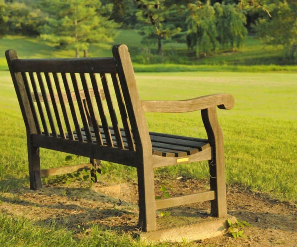 presentar los impuestos domiciliados