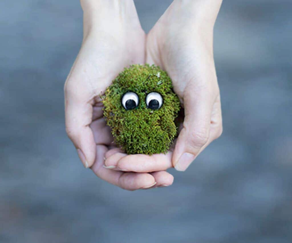 Cómo compensar el iva del trimestre anterior