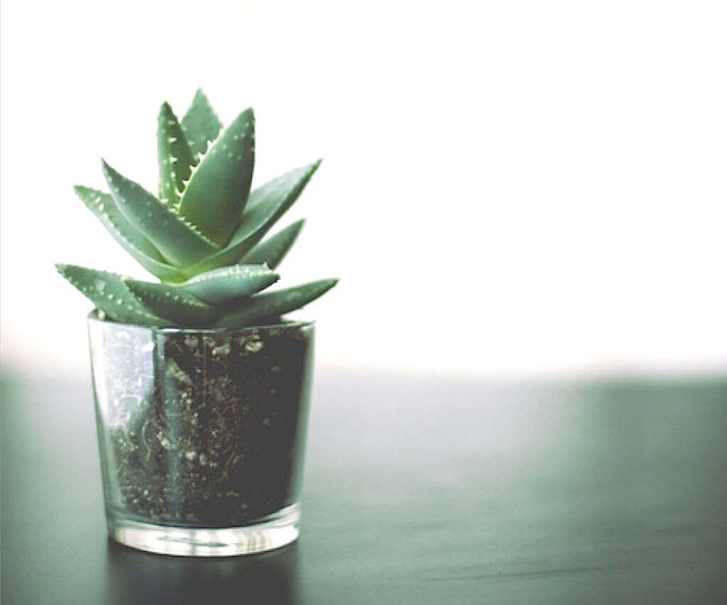 Modelo 130 casilla 05 pagos periodos anteriores