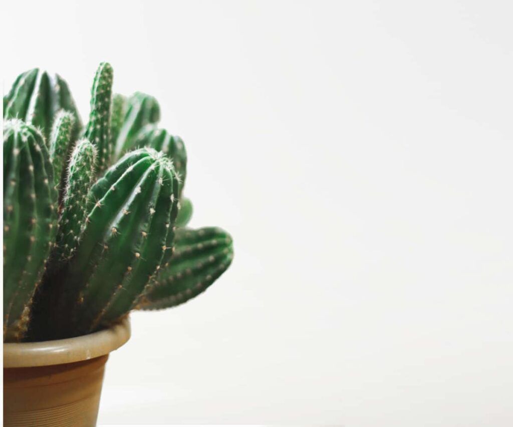 No he presentado modelo 303 IVA qué puede pasar