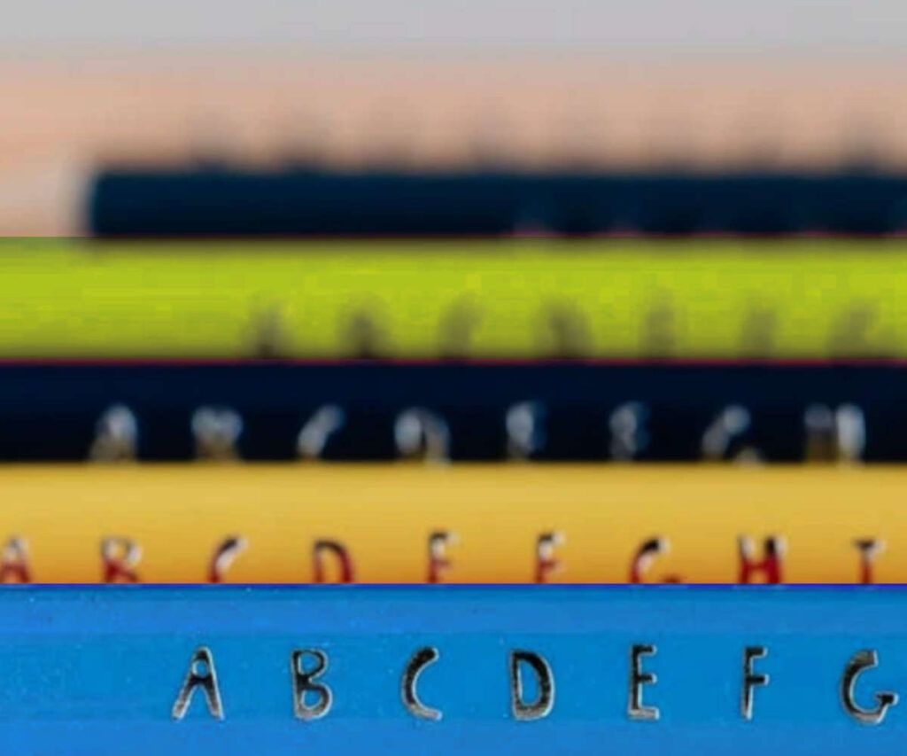 Diferencia entre nif y vat