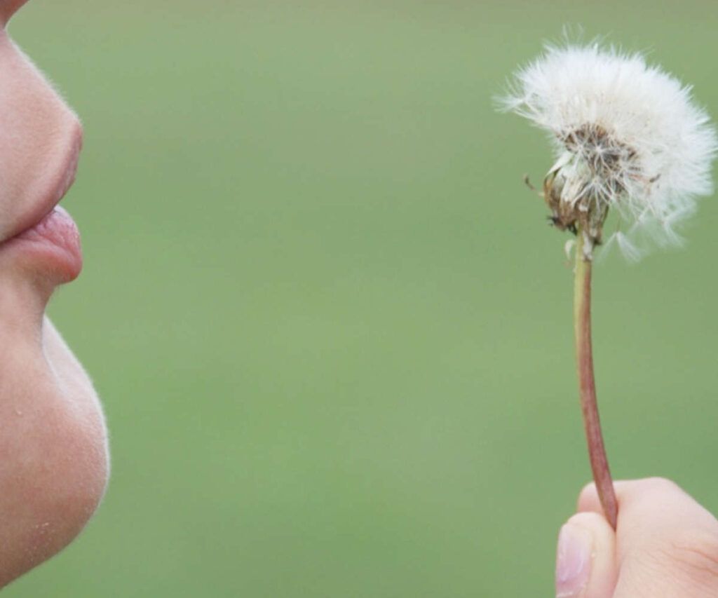 Qué pasa si no pago la cuota de autónomos tarifa plana