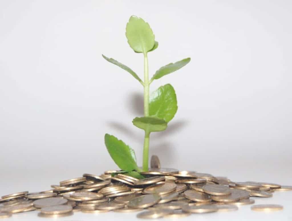 Autónomas y maternidad